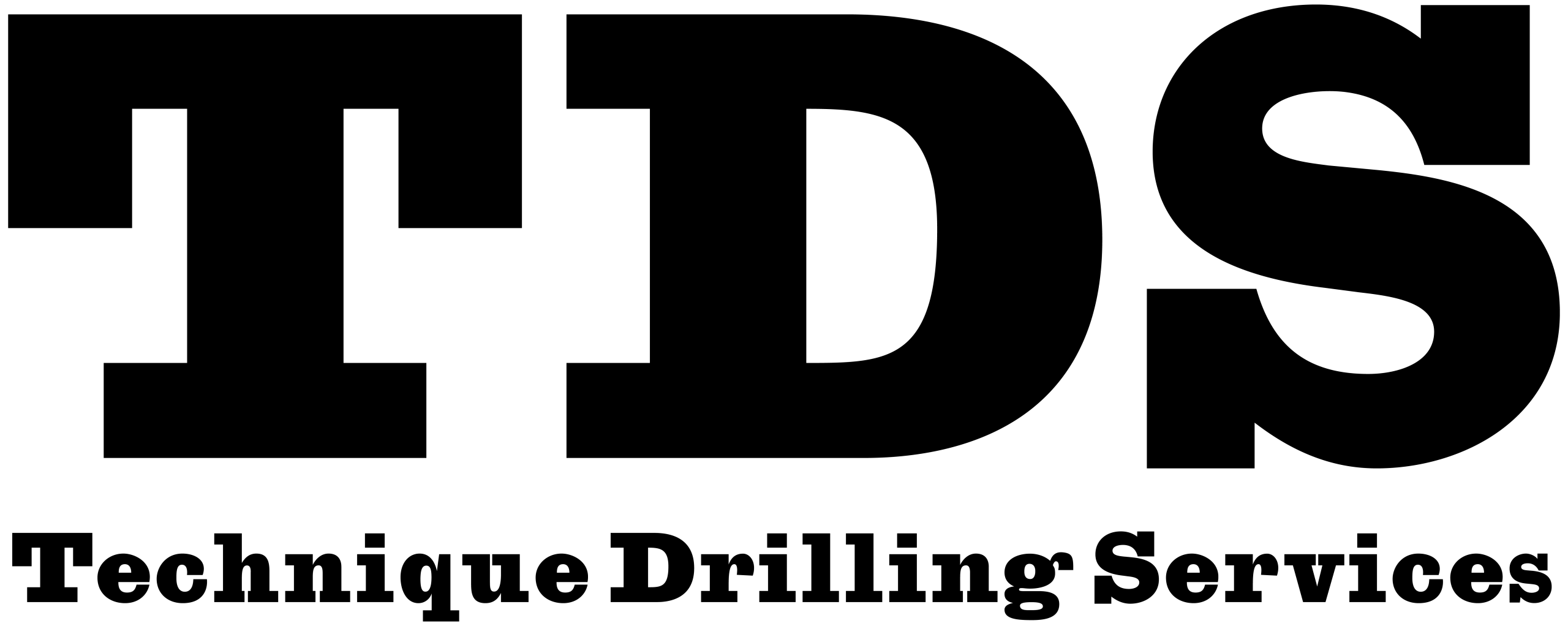 TDS-Logo-02 (1) (1)